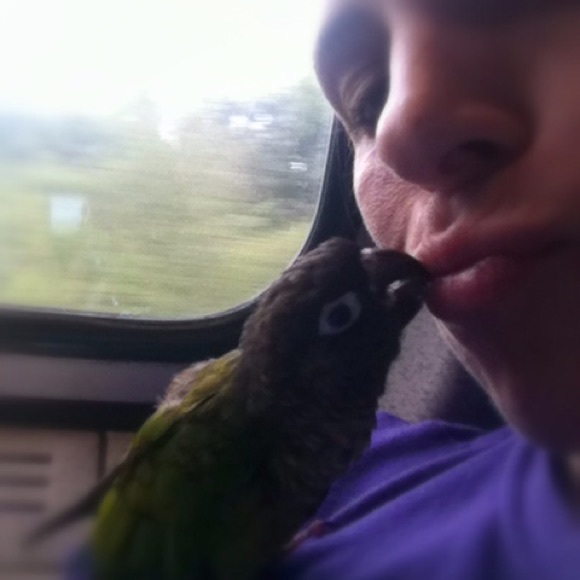 Hi I’m Fry the bird with my mom Liz - Picture 4 of 6